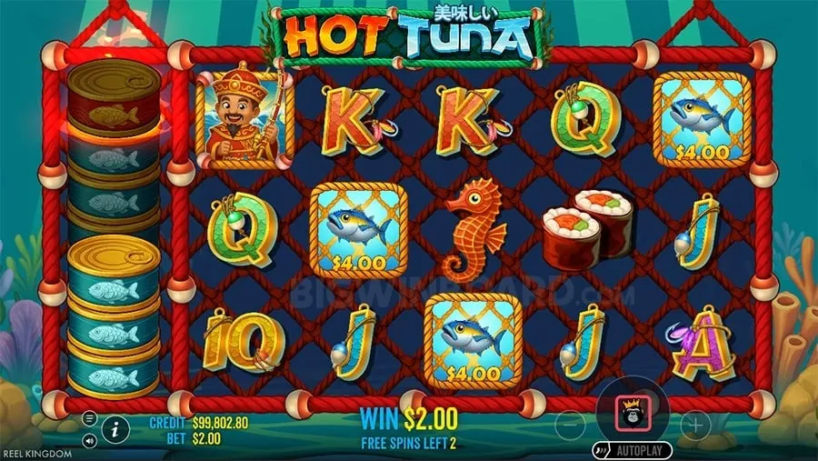 Professional live dealer at a niceph casino table